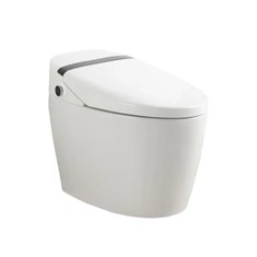 Bidet de toaletă inteligent