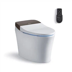 Cea mai bună toaletă inteligentă